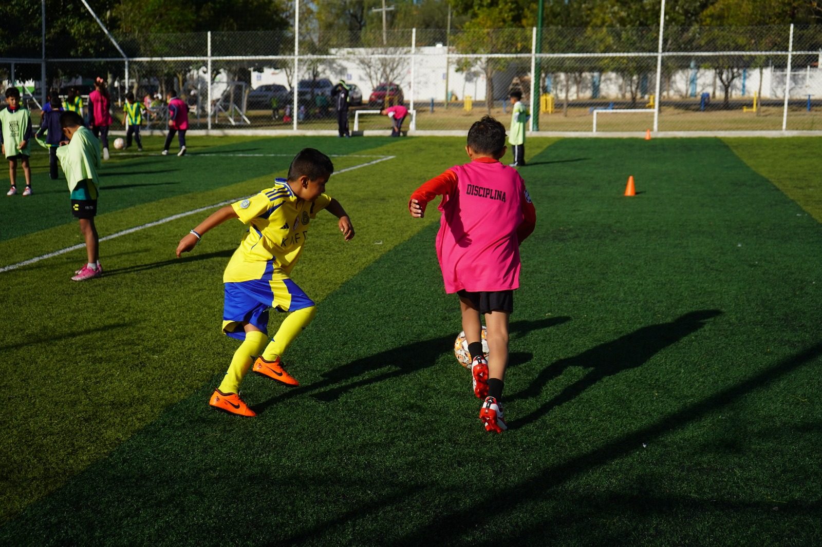 Vibra León